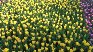 2015-03-29-01.mp4